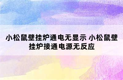 小松鼠壁挂炉通电无显示 小松鼠壁挂炉接通电源无反应